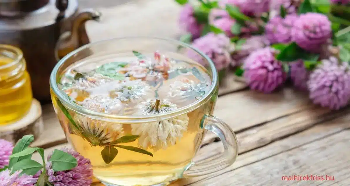 Kisvirágú füzike tea