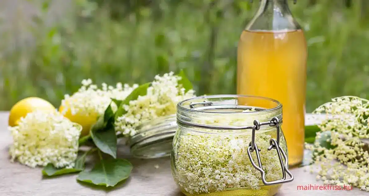 A bodzás limonádé