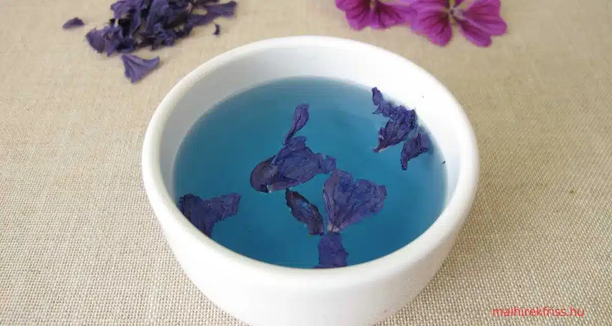mályva tea